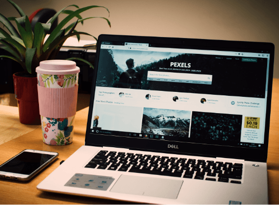 Basic Website